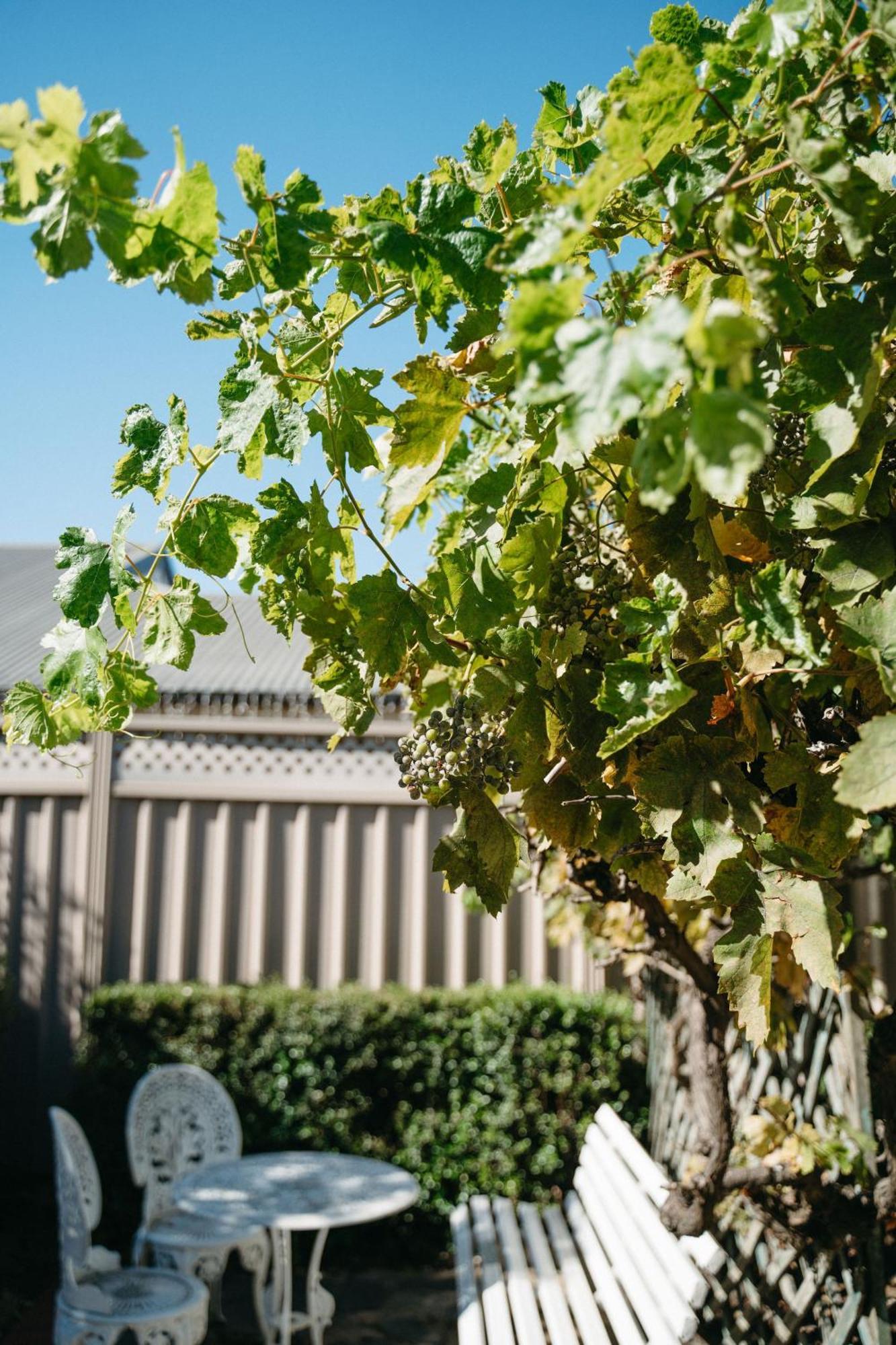 Langmeil Cottages Tanunda Exterior foto